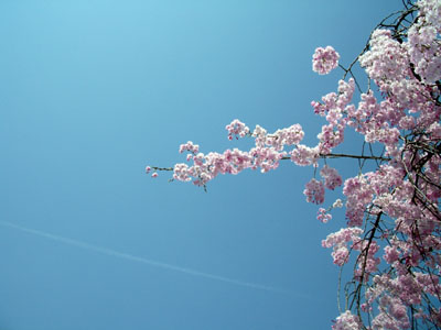 Heiwa Kouen